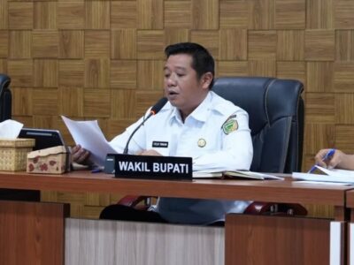 Wakil Bupati Barito Utara Felix Soenadi Y Tingan presentasi penurunan pengangguran di hadapan Kemendagri